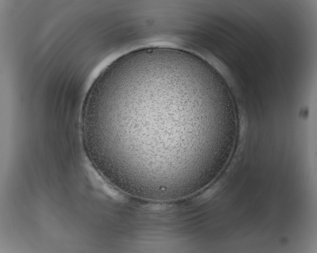 X0000112511240200908241412