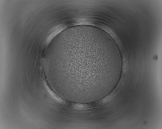 X0000112511241200908241412