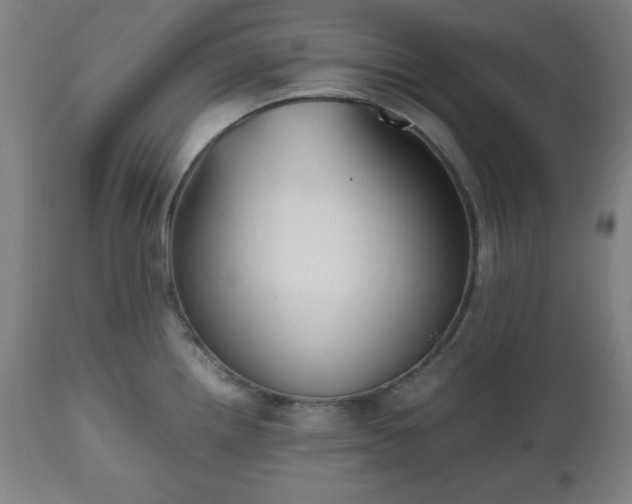 X0000112511242200908241412