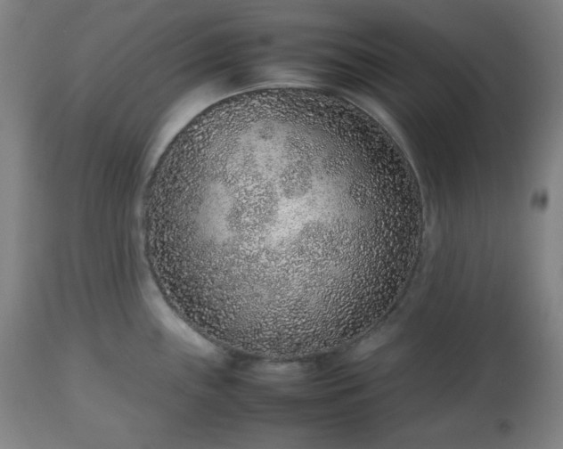 X0000112511243200908241412