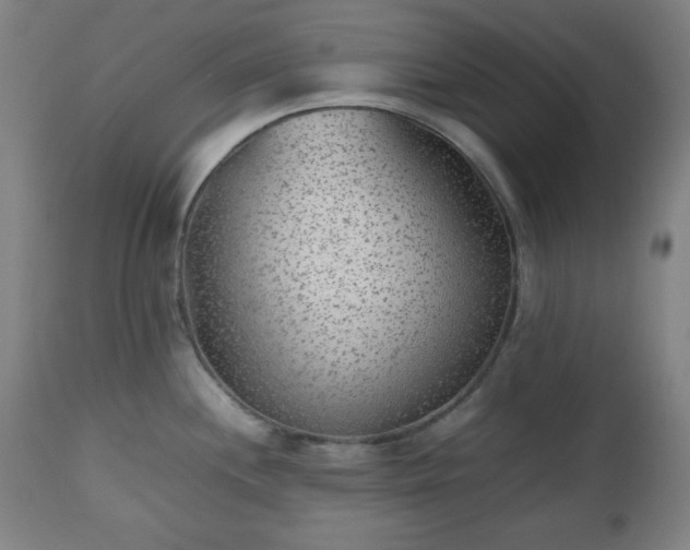 X0000112511244200908241412