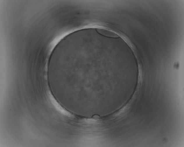 X0000112511246200908241412