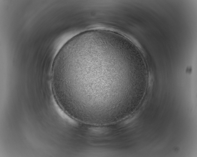 X0000112511247200908241412