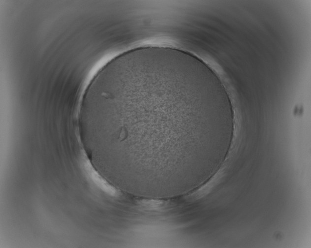 X0000112511248200908241412