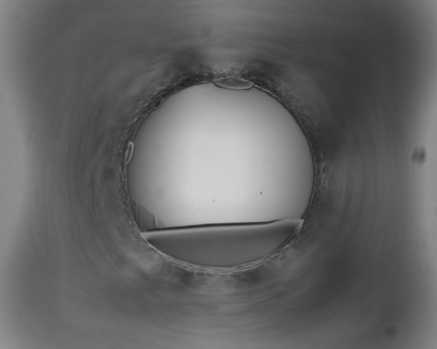 X0000112511249200908241411