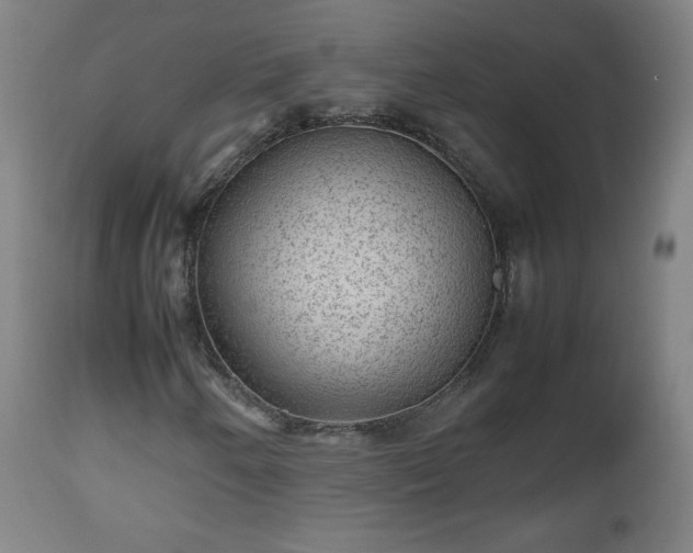 X0000112511250200908241411