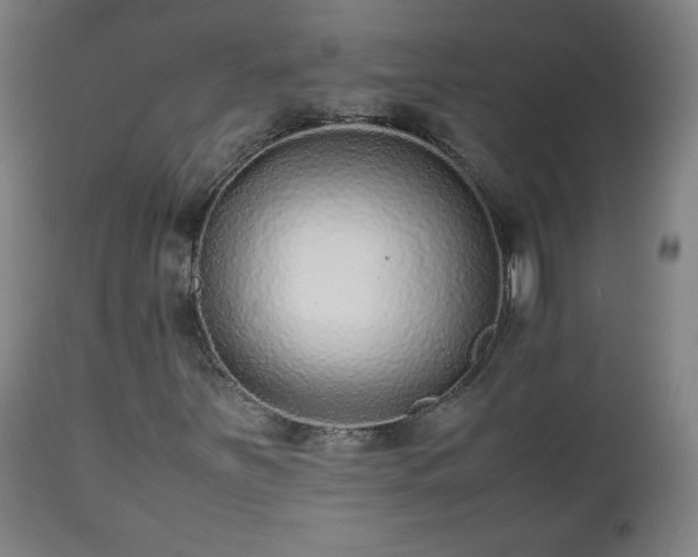 X0000112511251200908241411