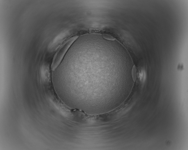 X0000112511252200908241411