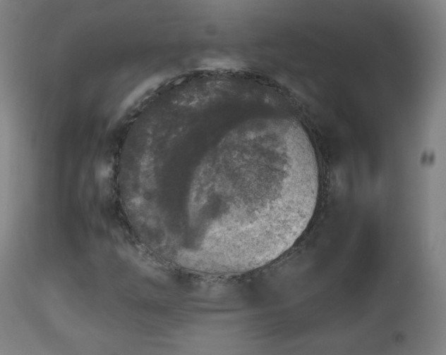 X0000112511254200908241411