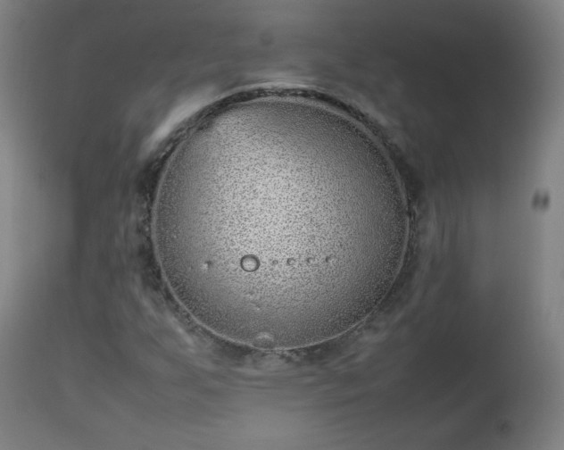 X0000112511255200908241411