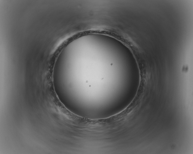 X0000112511256200908241411