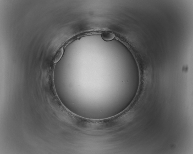 X0000112511257200908241411