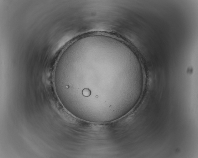 X0000112511258200908241411