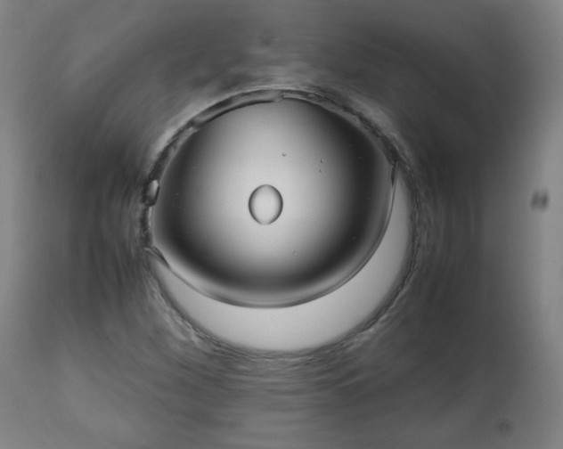 X0000112511260200908241411