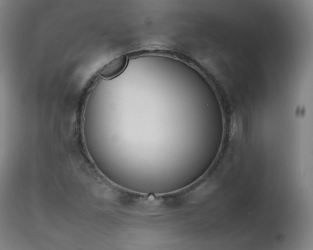 X0000112511261200908241411