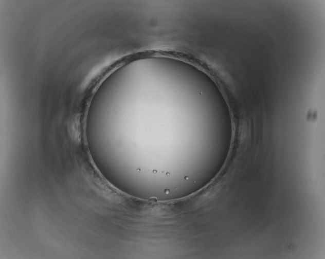 X0000112511262200908241411