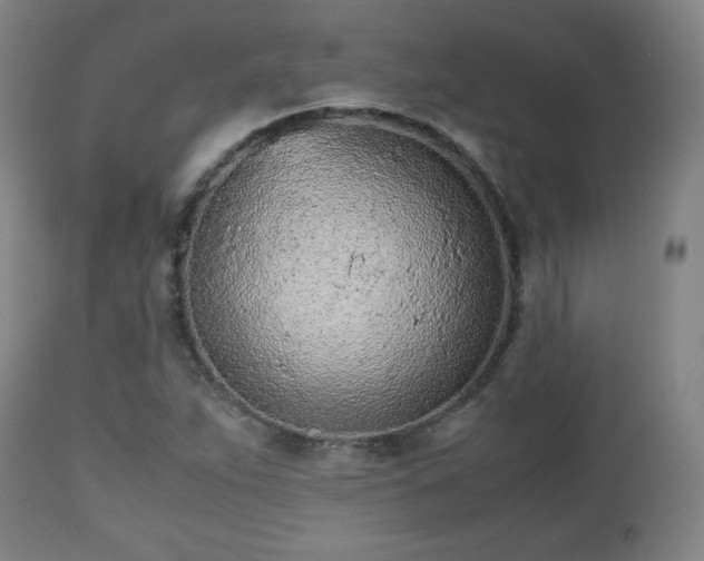 X0000112511263200908241411