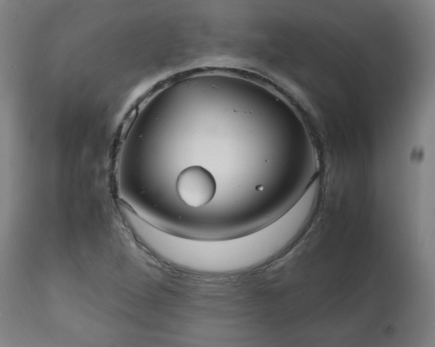 X0000112511264200908241411