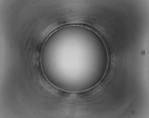 X0000112511265200908241411