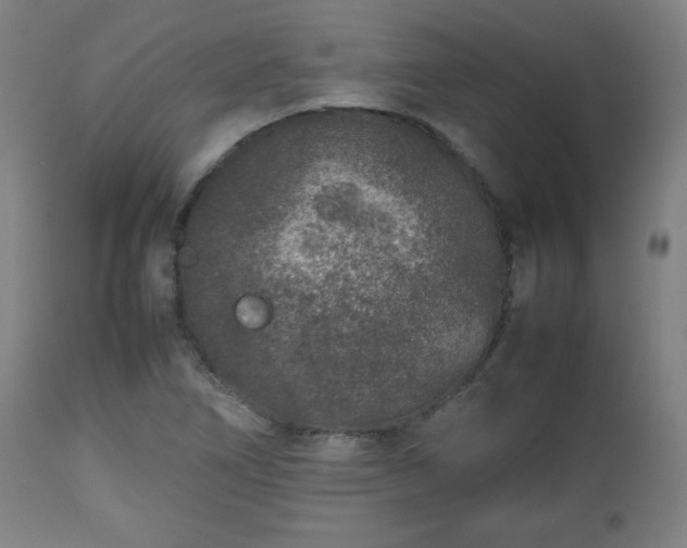 X0000112511266200908241411