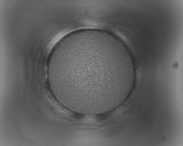 X0000112511267200908241411