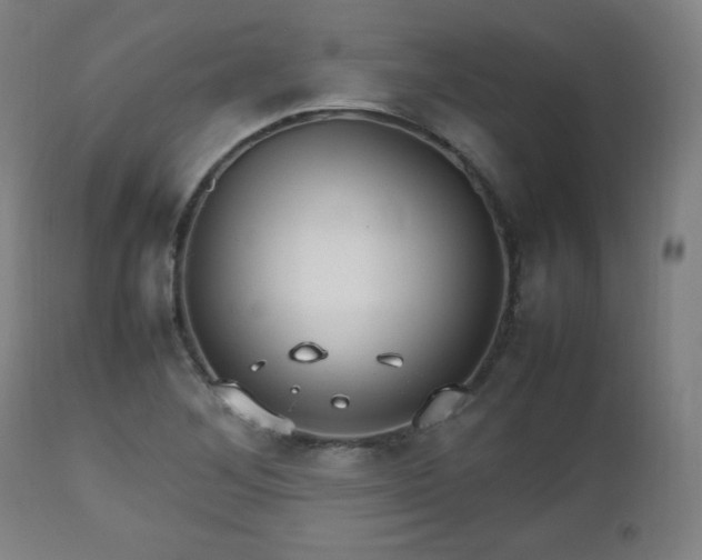 X0000112511268200908241411