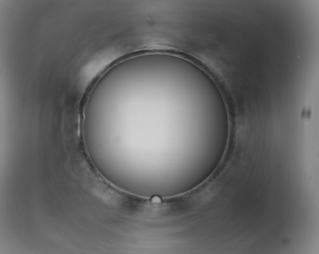 X0000112511269200908241411