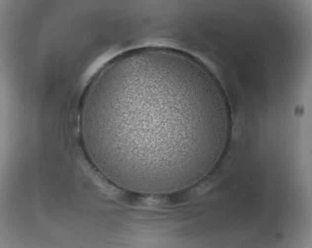 X0000112511271200908241411