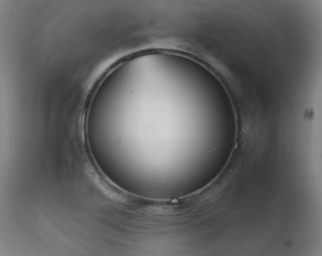 X0000112511272200908241411