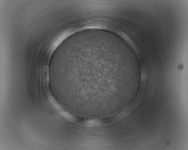 X0000112511274200908241411