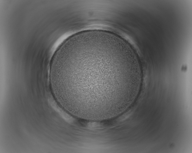 X0000112511275200908241411