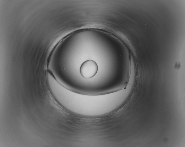 X0000112511276200908241411