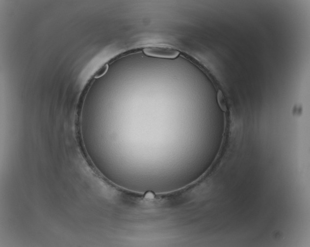 X0000112511277200908241411