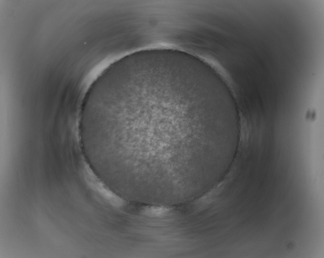 X0000112511278200908241411