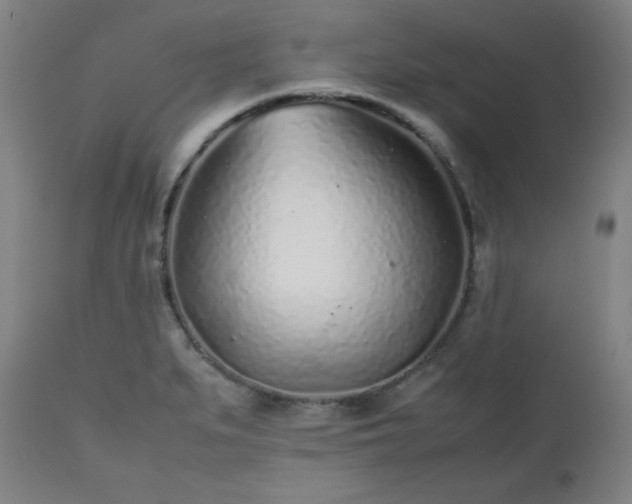 X0000112511279200908241411