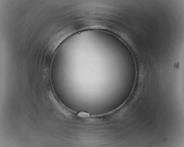 X0000112511281200908241411