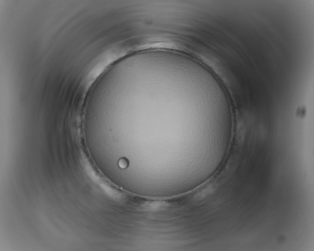 X0000112511282200908241411