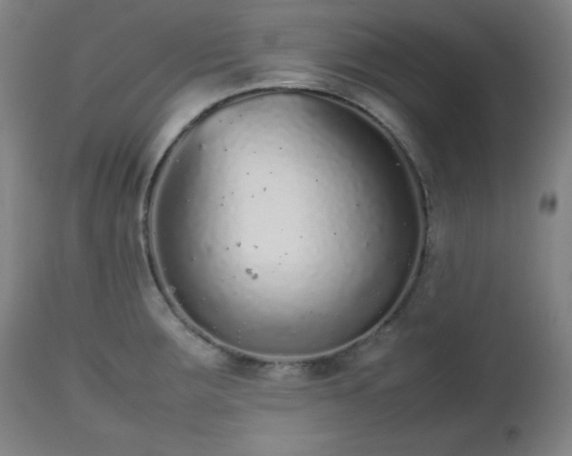 X0000112511283200908241411