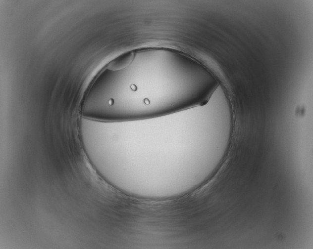 X0000112511284200908241411