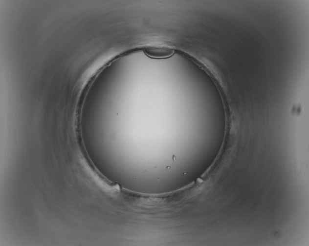 X0000112511285200908241411