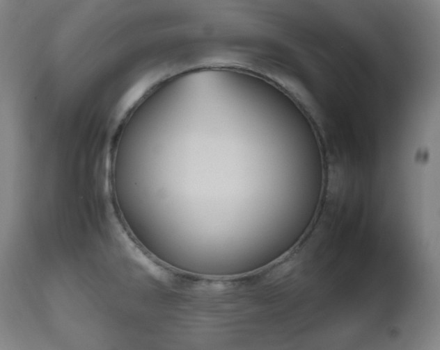 X0000112511286200908241411