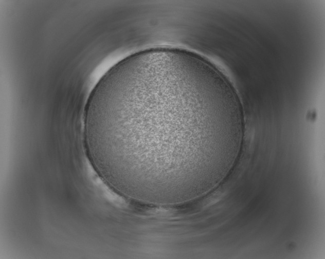 X0000112511287200908241411