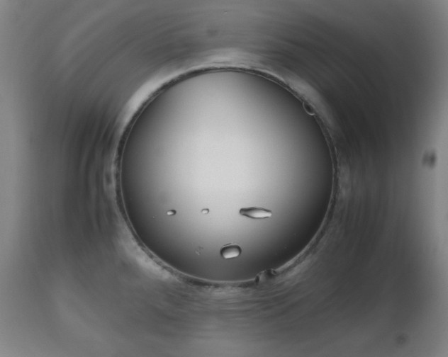 X0000112511288200908241411