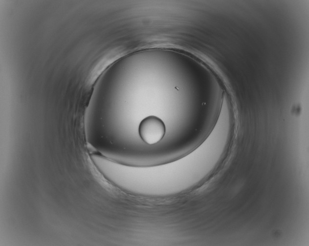 X0000112511289200908241411