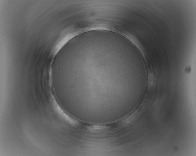 X0000112511290200908241411