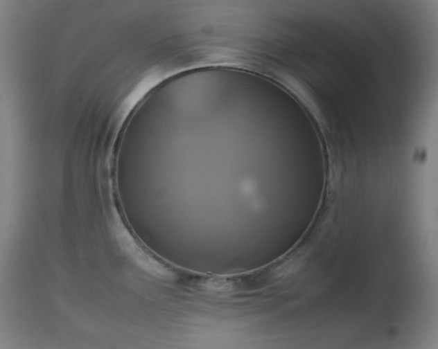 X0000112511291200908241411