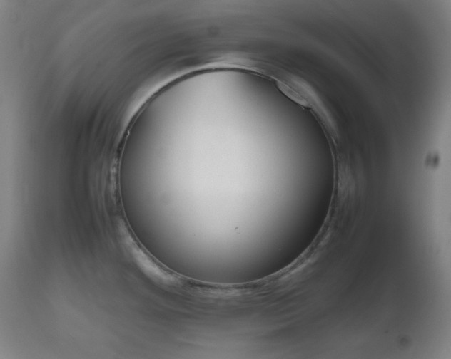 X0000112511292200908241411