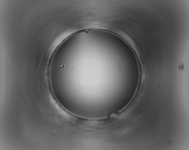 X0000112511293200908241411