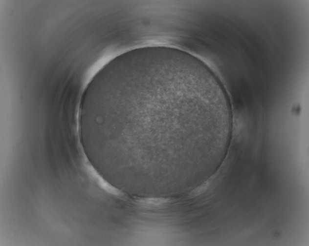 X0000112511294200908241411