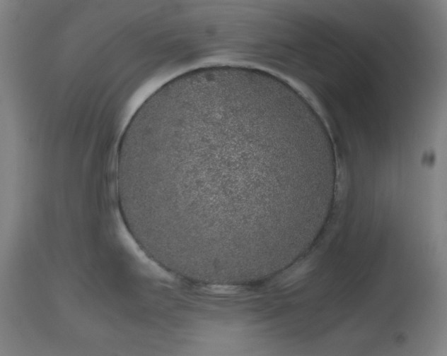 X0000112511295200908241411